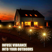 Decorative Solar Firework LED Garden Lights (2 Pc)