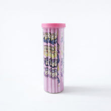 Graphite Pencil Set