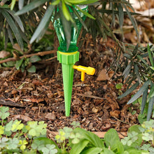  Adjustable Plant Watering Spikes - lifestyle