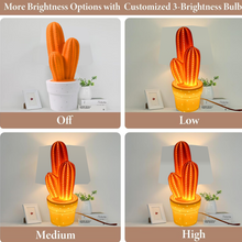 ceramic cactus lamp decor
