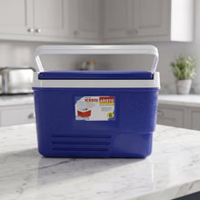 Portable Insulated Ice Cooler Box with Carry Handle (1 Pc, Blue / 6Ltr)