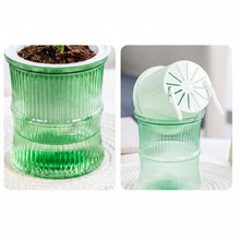 Self-Watering Bamboo Style Plastic Flower Pot with Cotton Wick (1 Pc)