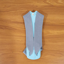 daily fitness back brace