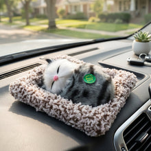 Decor Cat Open Eye Showpiece (1 Pc)