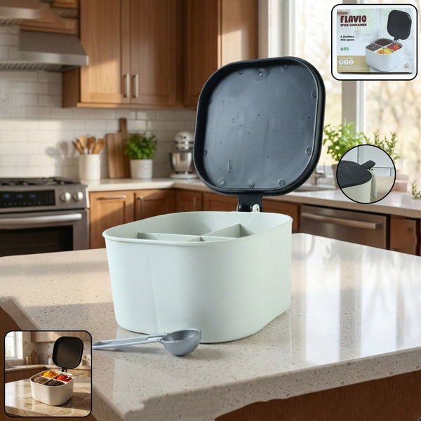 Fancy 4-Section Masala Box for Kitchen Storage (Spice Container)