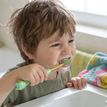 Kids Toothbrush with Cute Animal Whistle Toy Set